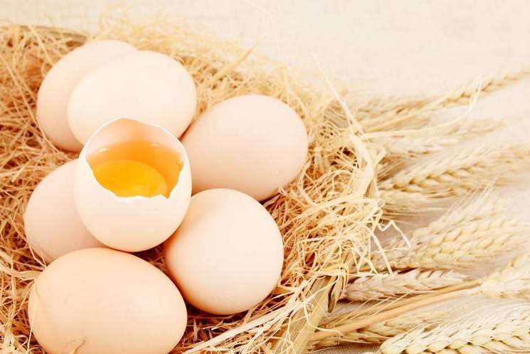 鸡蛋生吃更有营养吗？如何科学食用鸡蛋？图片
