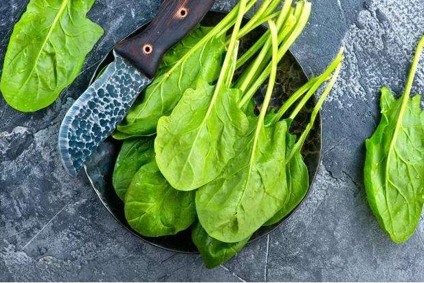 菠菜等含草酸高的蔬菜如何食用，与结石有关吗？图片