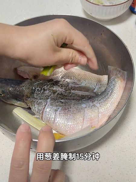 鱼的做法操作步骤第2步：用葱姜腌制15分钟