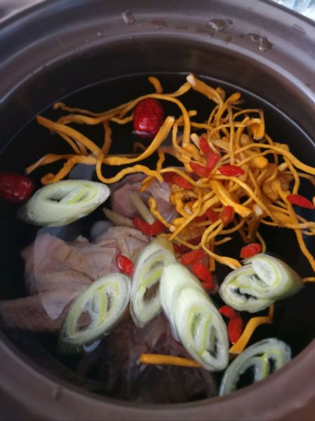 滋补美味鸽子汤的做法操作步骤第2步：砂锅里放入鸽子，多放些水，放入葱，红枣，枸杞，虫草花，大火烧开，转小火炖一个小时