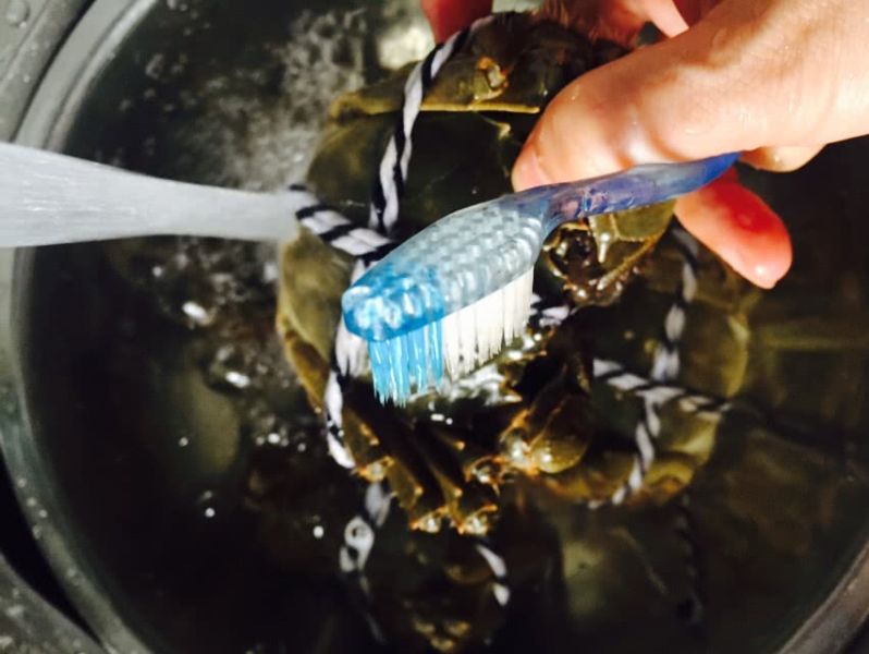 清蒸大闸蟹的做法操作步骤第2步：在自来水龙头下，用牙刷将蟹周身洗刷冲洗干净。