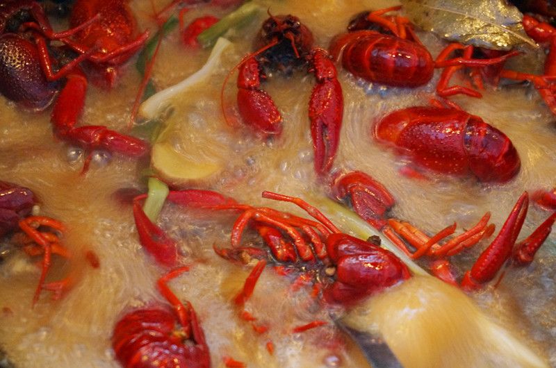 麻辣小龙虾的做法操作步骤第11步：翻炒片刻后下入水和调味料，开锅后中小火煮制