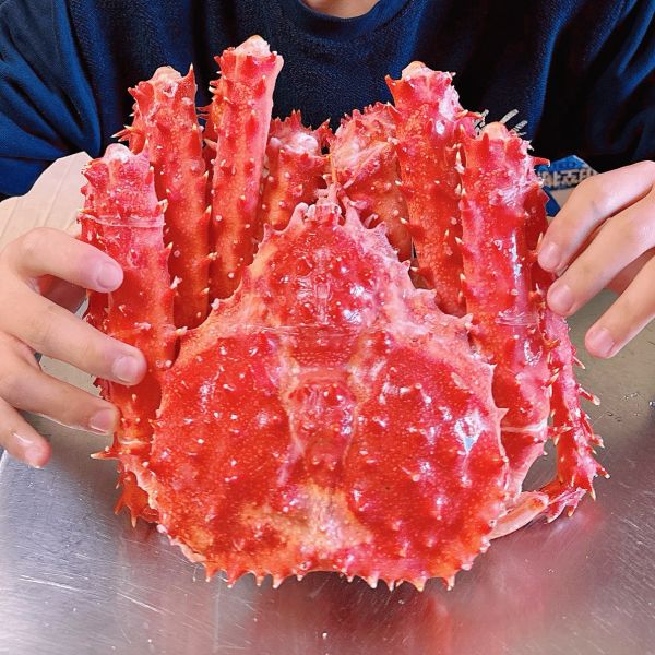 帝王蟹芝士烘蛋的做法操作步骤第3步：将冷冻帝王蟹低温自然解冻。