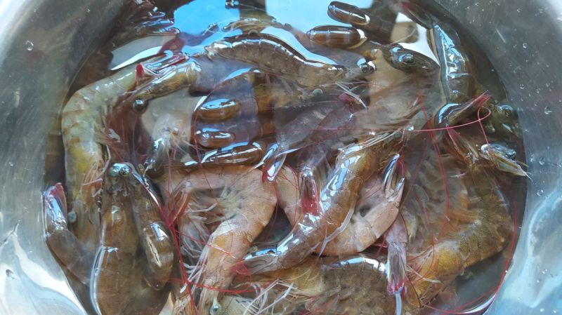泰式柠檬虾的做法操作步骤第1步：将虾洗净，控干水。